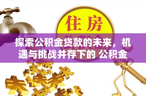 东凤探索公积金贷款的未来，机遇与挑战并存下的 公积金贷款风险防控
