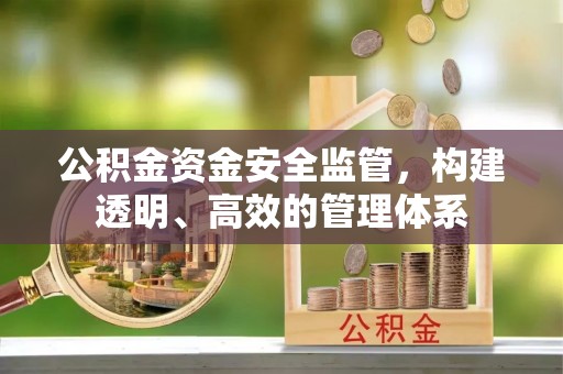 东凤公积金资金安全监管，构建透明、高效的管理体系