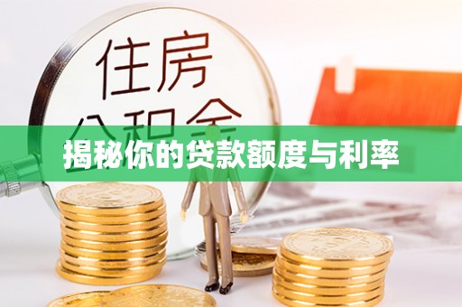 东凤揭秘你的贷款额度与利率