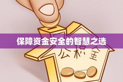 东凤保障资金安全的智慧之选