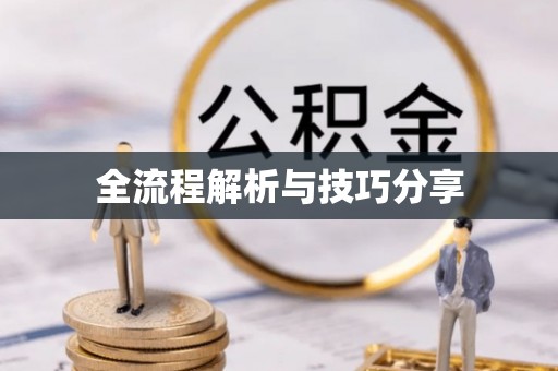 东凤全流程解析与技巧分享